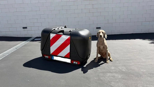 Coffre de toit TowBox / TowCar V2 : Idéal pour transporter des chiens ou des bagages