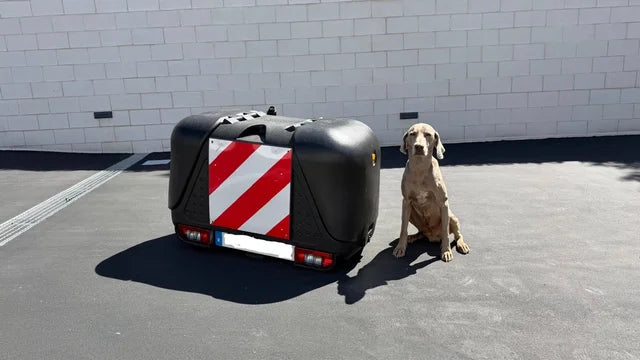 Coffre de toit TowBox / TowCar V2 : Idéal pour transporter des chiens ou des bagages