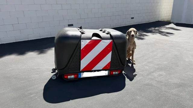Coffre de toit TowBox / TowCar V2 : Idéal pour transporter des chiens ou des bagages