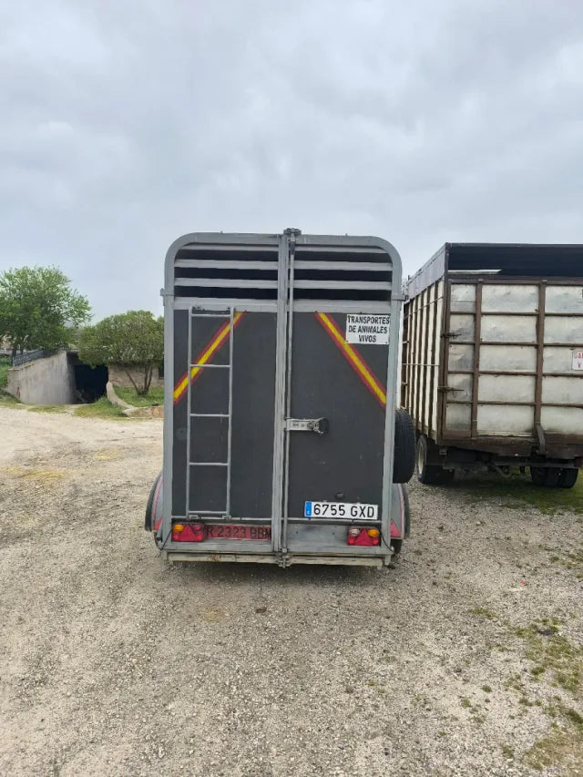 Remorque pour bétail / Chevaux – Double Essieu