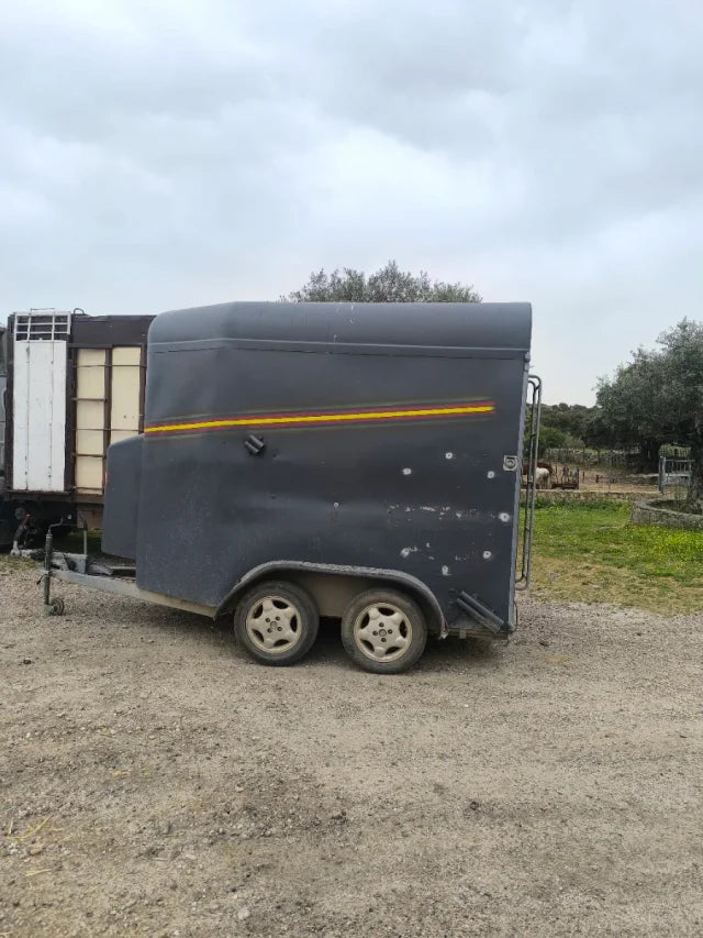 Remorque pour bétail / Chevaux – Double Essieu