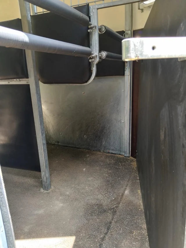 Remorque van pour chevaux à double essieu